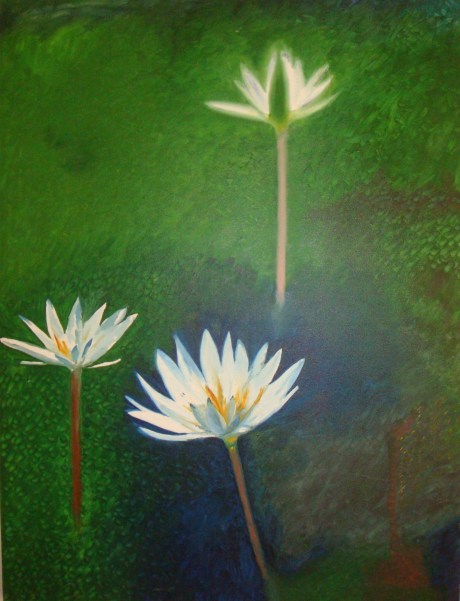 "Three White Water Lilies on Green Background" oil on canvas by David Maurer